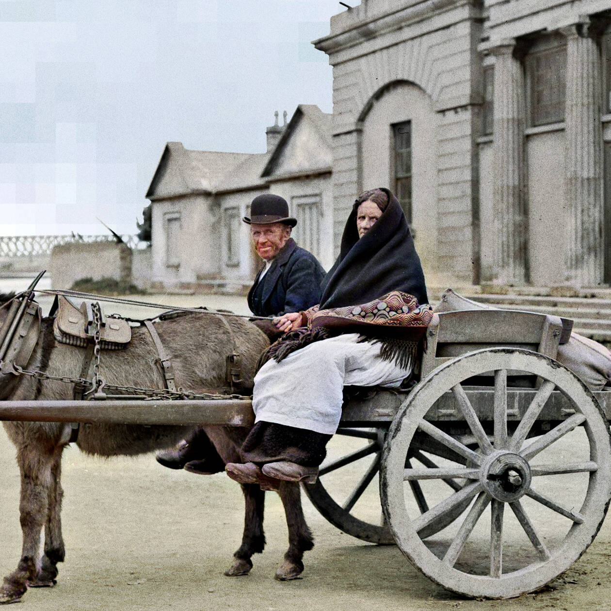 Pixelated donkey cart