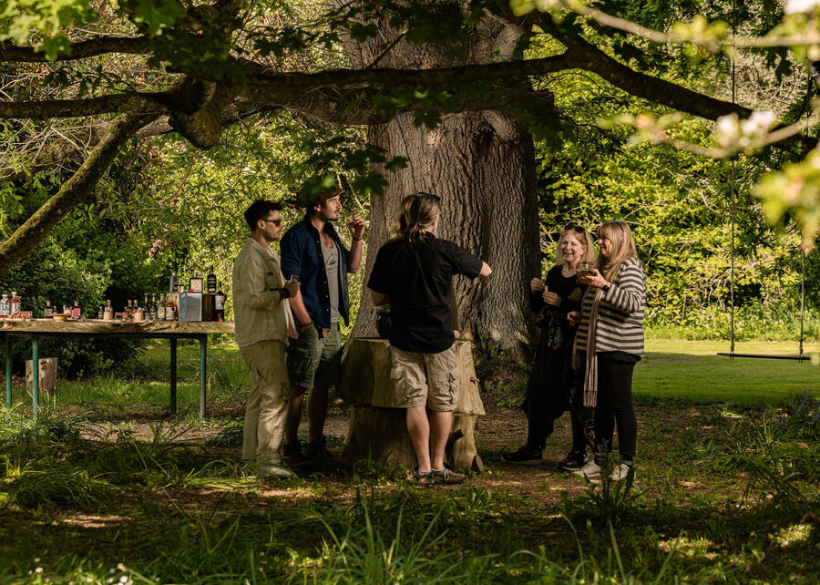 Group of people gathered under a large tree in a park, participating in a tasting tour event
